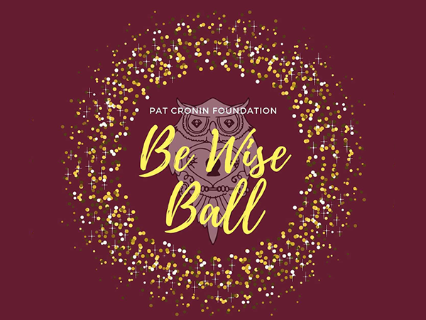 Be Wise Ball - Pat Cronin Foundation
