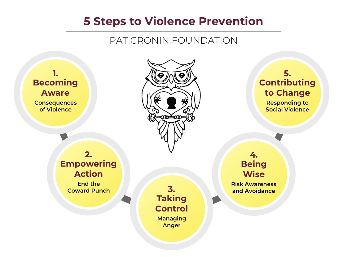 5 steps to violence prevention - e-learning - Pat Cronin Foundation