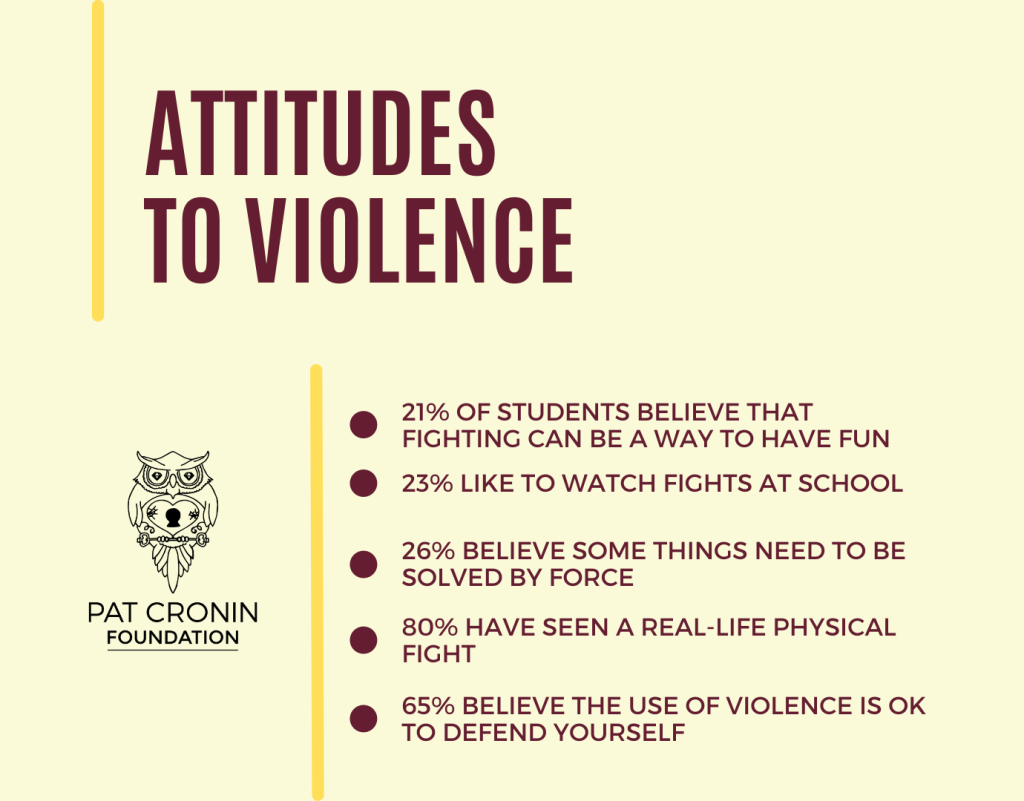 Pat Cronin Foundation illustration, with survey statistics about student attitudes to violence
