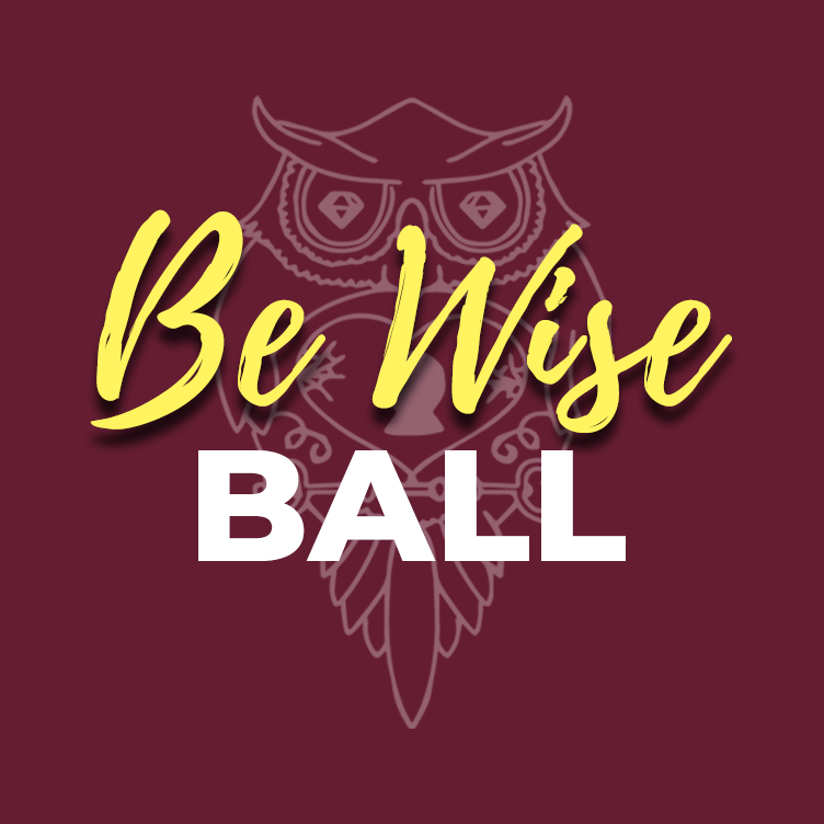 Be Wise Ball