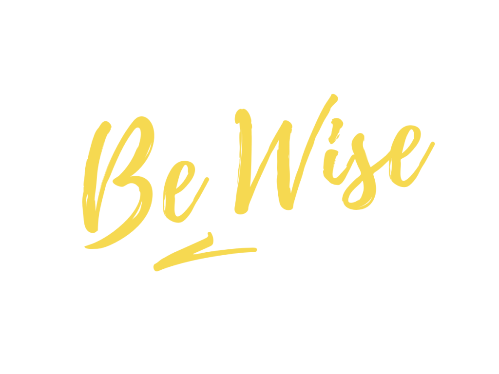 Be Wise Pat Cronin Foundation
