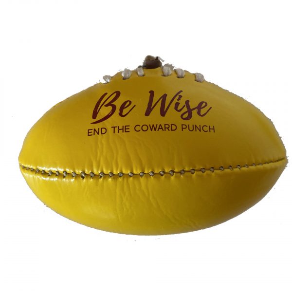 Be Wise Mini Footballs